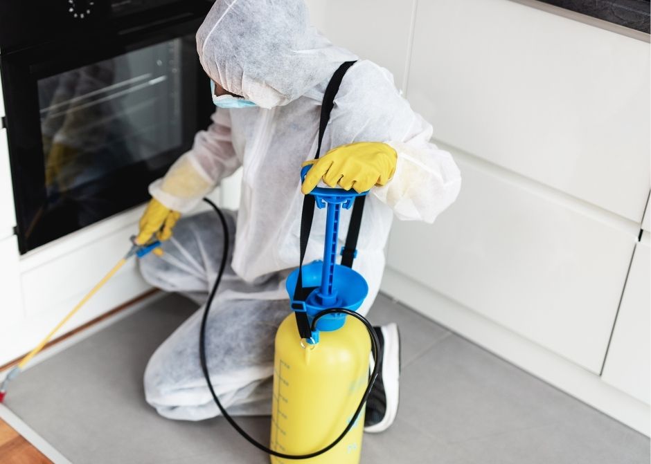 Çorlu Ev İlaçlama